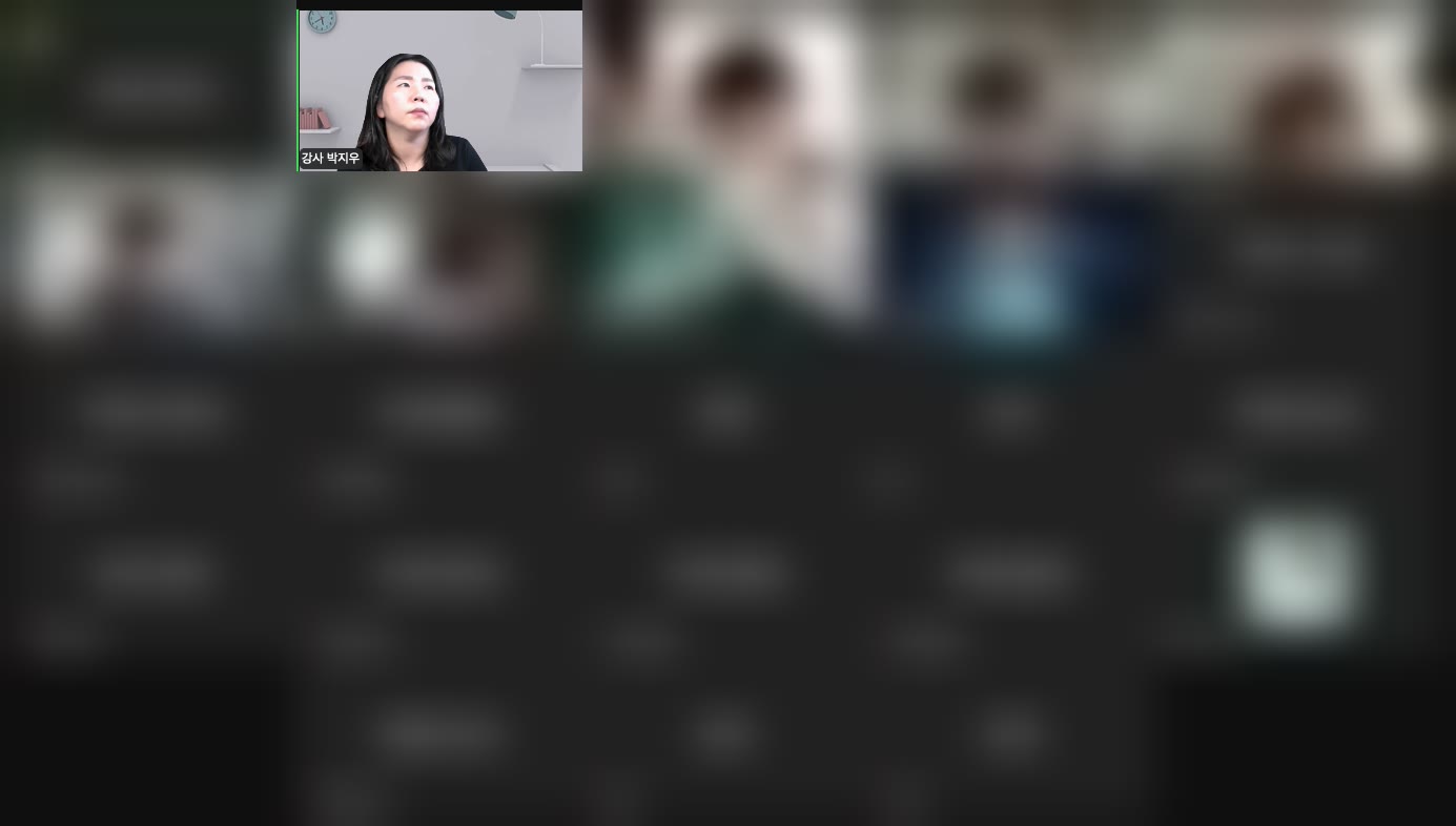 온라인 로블록스 수업 줌 화면